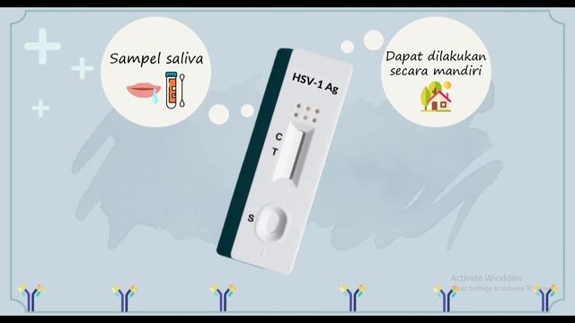 Elevator Pitch Ide Produk Kit Diagnostik Lateral Flow Assay/Rapid Test Antigen HSV-1 смотреть онлайн