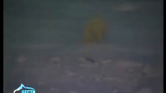 Экспедиция «Кара зима 2014»