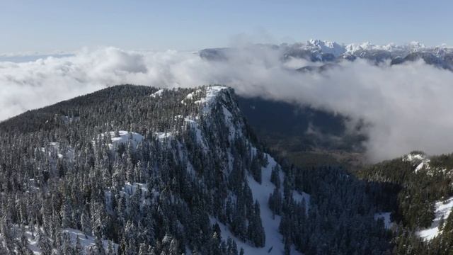 25. Я б не залишила Тебе ніколи (присвячено персонажам книги «Дівчинка-веселка»)