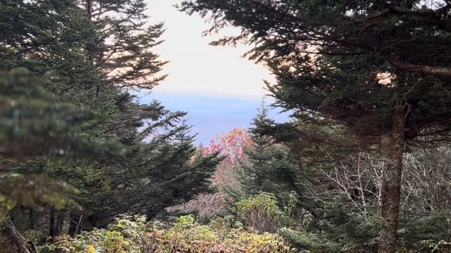 Остаться верной. Христианская поэзия в христианской программе Мир не бумажный. смотреть онлайн