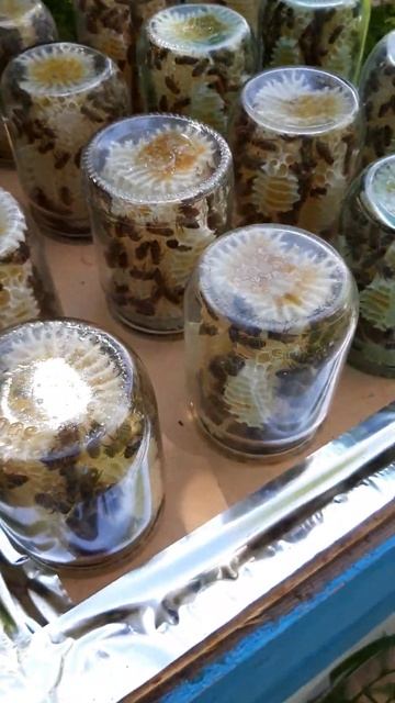 Сотовый мёд в банках смотреть онлайн