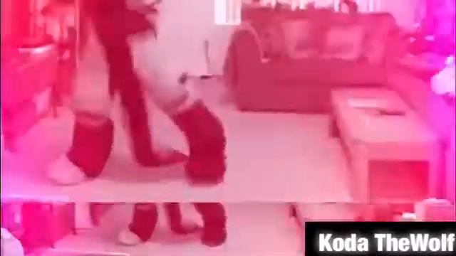 Booty swing Fursuit AMV смотреть онлайн