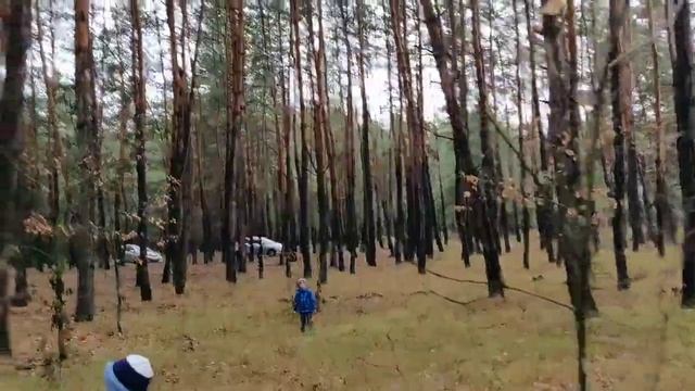 Приключения продолжаются смотреть онлайн