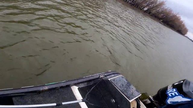 Рюмочка за каждого судака 16 марта смотреть онлайн