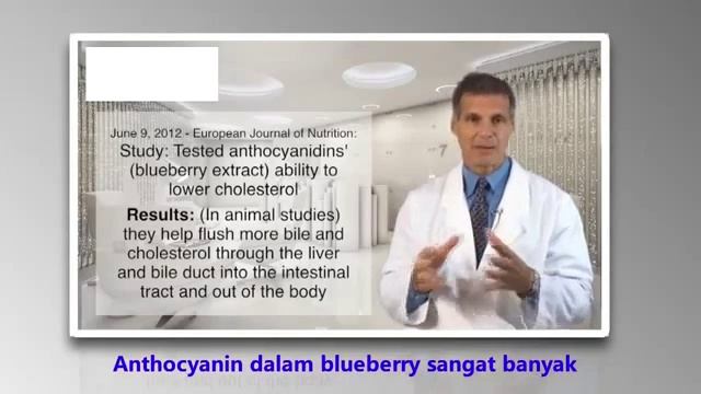 Sejuta Khasiat Nyata Blueberry Green World !!