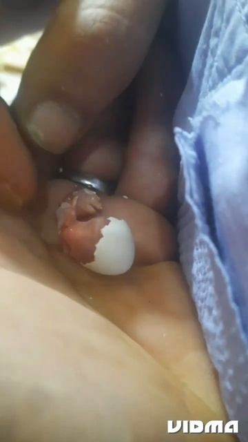 انقذ فرخ طيور الحب من الموت وكبس البيض #love смотреть онлайн