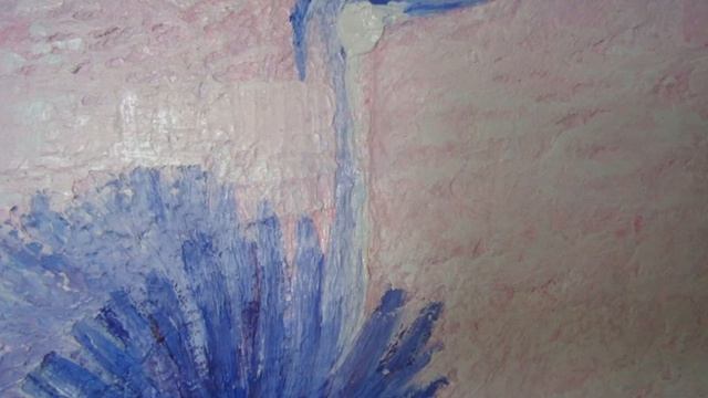 volo di airone -foto e video autrice Delia Smit Bonazzoli смотреть онлайн