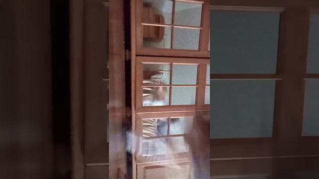 квд топ кто не верит тому в лоб #furry #music #shortvideo #хочувреки смотреть онлайн