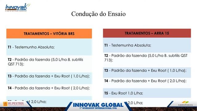 🔴 1º Workshop Internacional Uva INNOVAK GLOBAL