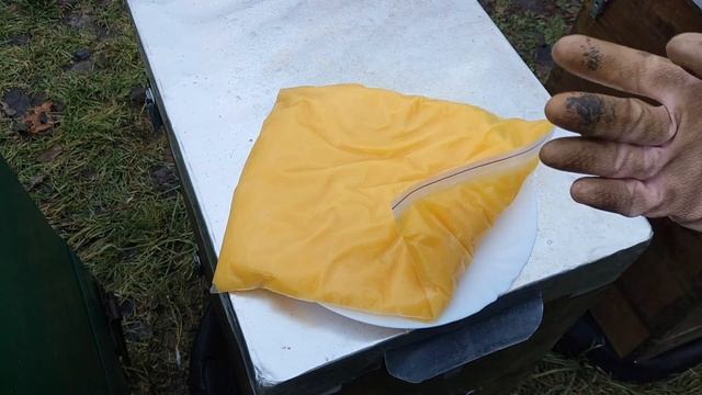 Медова підгодівля бджіл взимку🍯🍽️🐝 смотреть онлайн