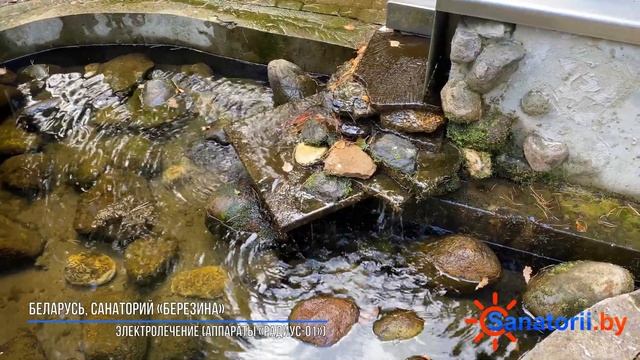 Санаторий Березина - святой источник, Санатории Беларуси смотреть онлайн