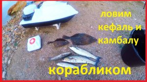 ловим с берега кефаль и камбалу в Черном море корабликом