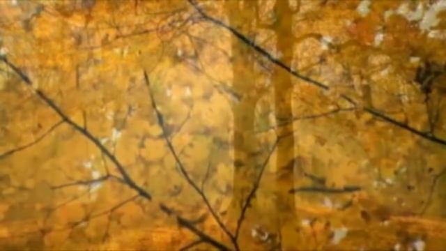 Мукагали Макатаев , Муқағали Мақатаев поэзия,