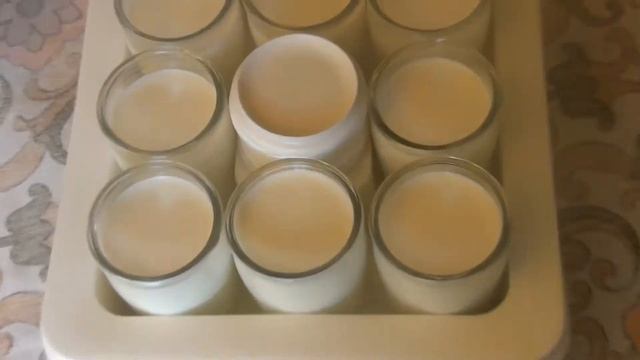 Yogurt Maker-Biomat  TEFAL , Food Chopper TCM, KRUPS. We Make Strawberry Yogurt