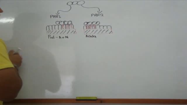(infeccion) patogenia de candida смотреть онлайн