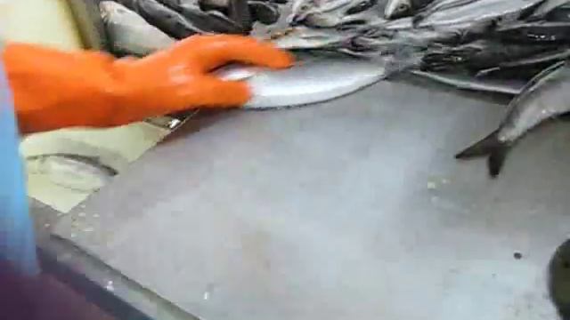 How To Roe A Herring смотреть онлайн