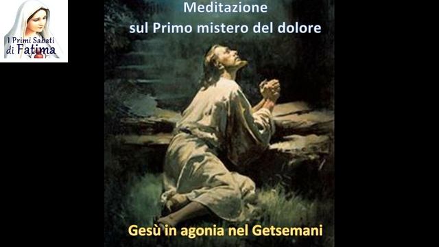 Rita Scolari - 6 febbraio 2021. - Meditazione sul 1° mistero del Dolore - 1° sabato di febbraio. смотреть онлайн