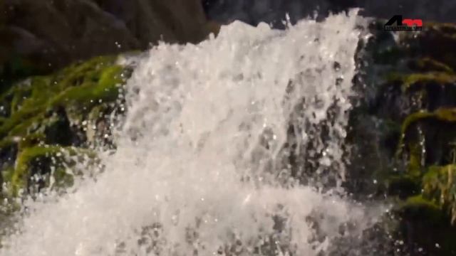 Anandodhara Bahichhe | Latest Bengali Video Songs | Indrani Sen | Atlantis Music смотреть онлайн