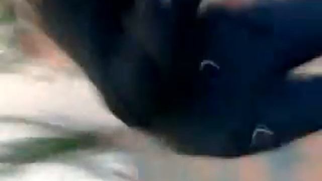 Смотреть до конца))! смотреть онлайн