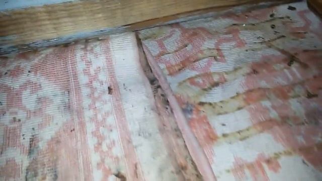 контроль зимовки пчел в зимовнике, февраль 2018 г смотреть онлайн