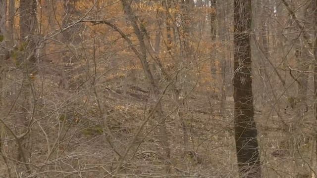 April 3rd, 2021 Full Show - Kayak Largemouth, Nolin River White Bass, Ticks in KY смотреть онлайн