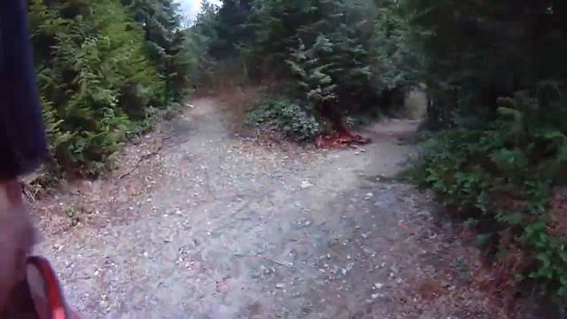 3D Archery Target Standing Grizzly Bear смотреть онлайн