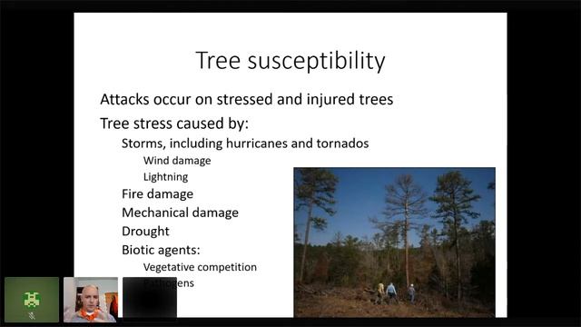 Invasive Species in Urban Forests - Webinar 3 in 2022 Series смотреть онлайн