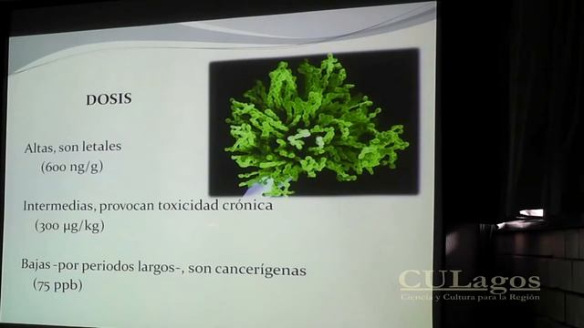 2014 CULagos - UIV14 Bioquímica, 24 junio "Micotoxinas en los alimentos y estrategias de...” смотреть онлайн