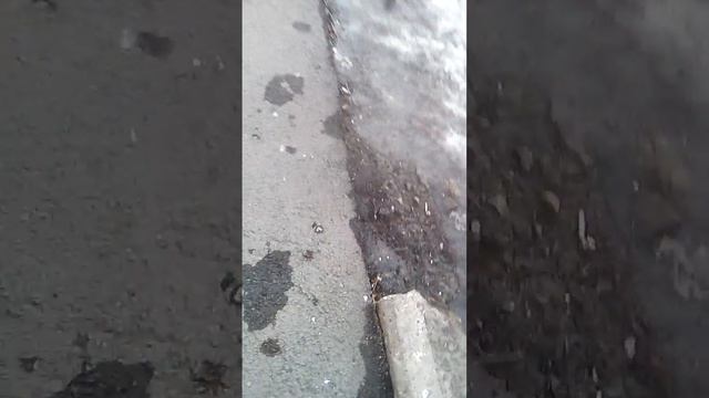 За мной гонятся девки смотреть онлайн