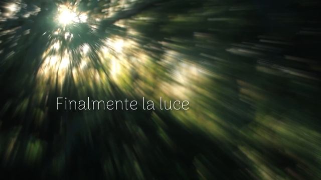 Irene Grandi feat.Carmen Consoli - Alle porte del sogno - Official lyric video смотреть онлайн