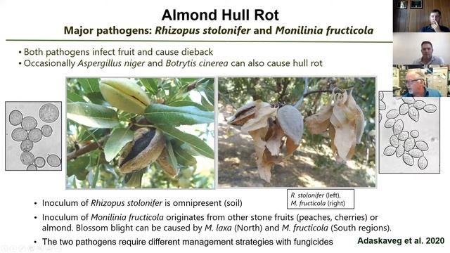 Dr. Adaskaveg Reviews Major Pathogens in Almond Hull Rot смотреть онлайн