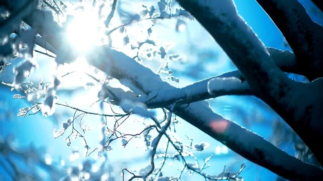 Snow - A Visual Poem (Charles Bertram Johnson) смотреть онлайн