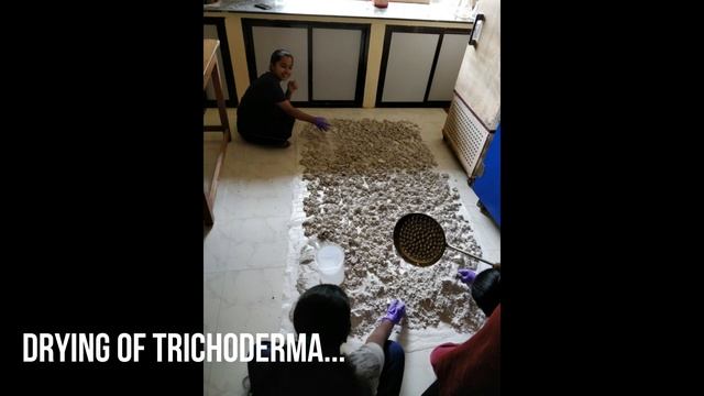 Production of Trichoderma , Compost , Vermicompost || ELU 401(FBT) || COF Sirsi 2016-2020 || UASD | смотреть онлайн