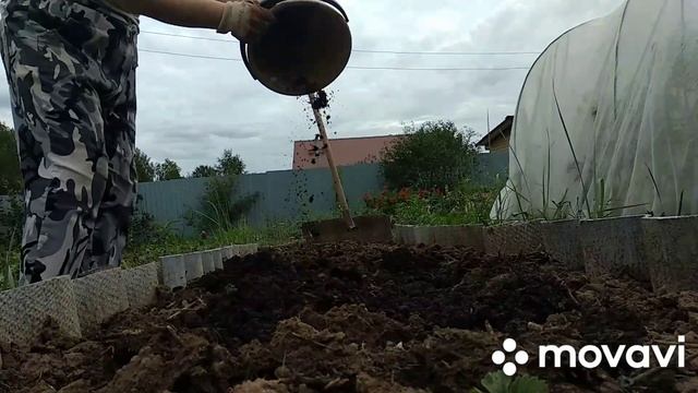 🥕МОРКОВЬ/Залётные ОПЯТА на участке/АРБУЗ не дожил/07.08.2021 смотреть онлайн