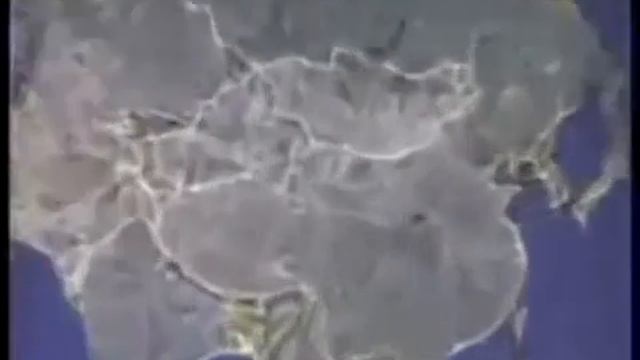 Кордицепс китайский