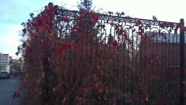 у меня отвратительный голос х(