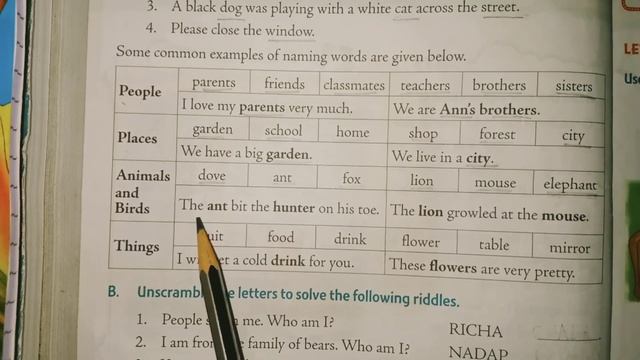 Book Magic English Grammar | Class 2 | Chapter 1 | Naming word | #english #englishgrammar смотреть онлайн