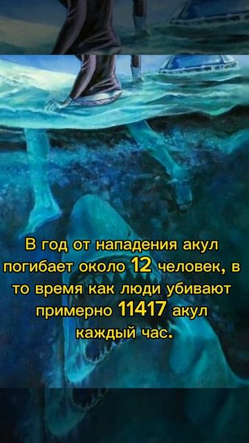 Жуткие факты😱 (часть 3) | #scary #horror #facts #youtubeshorts смотреть онлайн