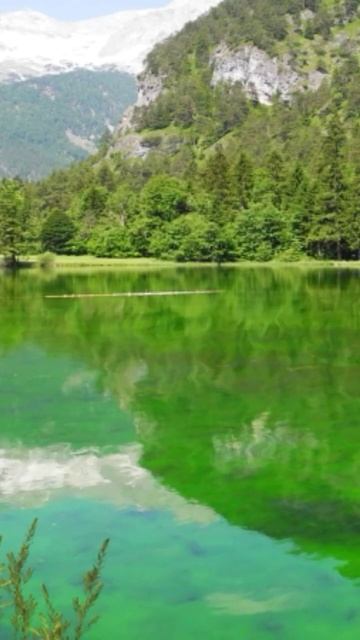 как поймать щуку травянку смотреть онлайн