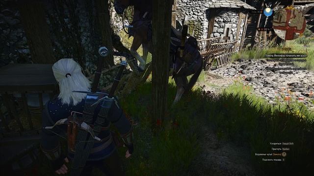 The Witcher 3. Баг с Плотвой смотреть онлайн