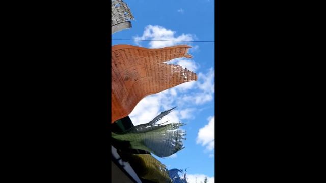 З. Миркина Там на конце у тишины #shorts