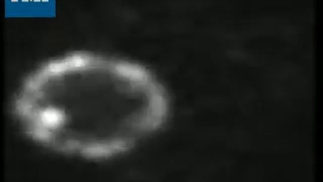 S.cerevisiae with a GFP-lacI tagged late replicating origin смотреть онлайн