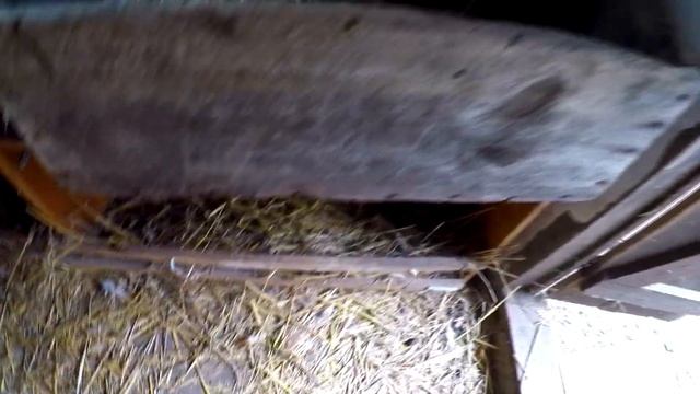 У Уток Наступила Спокойная Жизнь! ВЛОГ смотреть онлайн
