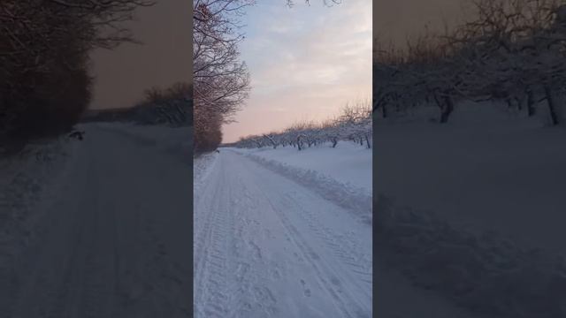 Грибы закончилось, начались морозы.