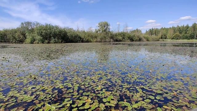 На лодке по болоту смотреть онлайн