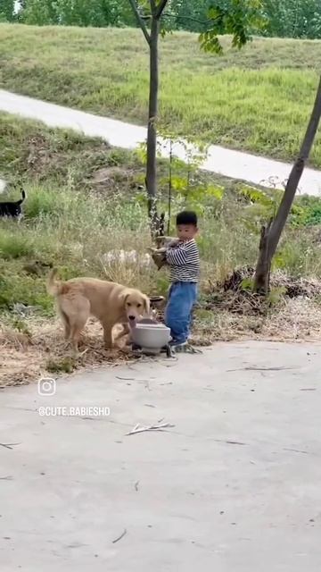 Все интересно смотреть онлайн