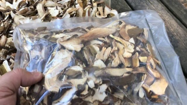 Come Conservare Perfettamente I Funghi Secchi [sub Eng]