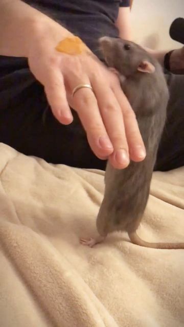 Mmm… delicious 😋 смотреть онлайн