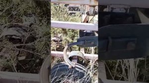 Культиватор Грязинский культиваторный завод КШУ-8 экспресс-обзор от Аркадия Фомина