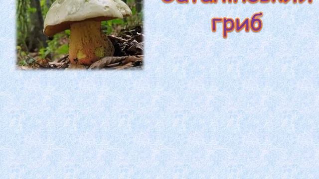 Отруйні гриби. Гриби. Загальна інформація. смотреть онлайн